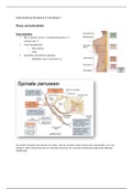 Samenvatting anatomie en fysiologie 2 orthopedie 1