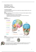 TLP 5: Anatomie Orthopedie & Neurochirurgie