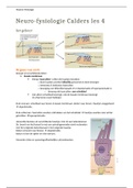 Les 7 Calders neurofysiologie - Motoriek/ FR-vest (hersenstam) + Basale ganglia
