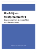 Hoofdlijnen Straf(proces)recht I | Samenvatting met casusgerichte stappenplannen en overzichten | Radboud Universiteit