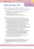 Media Psychology summary of scientific articles | IMEM/CB | Year 2