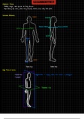 Anatomy 200: Introduction to Human Anatomy