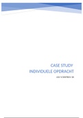 Individuele opdracht - case studies - AIV-V3INTRES-18