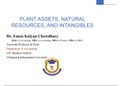 Plant Assets Natural Resources and Intangible Assets