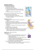 Comprehensive BIOSCI 101 full semester notes - perfect for all test and exam preparation