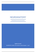 Neuroanatomy overview - introduction to the neurosciences 