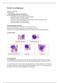 Werkgroepen Infectie en immuniteit 1 (geneeskunde jaar 1)