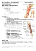 Peripheral and Autonomic Nervous system anatomy