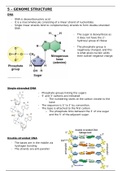 Genome Structure notes
