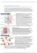 Geneesmiddelen van tractus circulatorius samenvatting + oefenvragen met antwoorden  