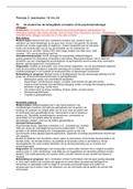 Acne: Leerdoelen 1 t/m 24, opleiding huidtherapie HHS