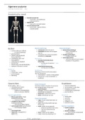 KT1401 - Spierskelet Anatomie