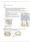 Anatomie Fontys Fysiotherapie periode 1.3