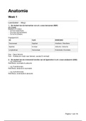 Anatomie Thema 2