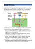 Samenvatting Biochemie Blok 2.2