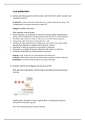Complete Specification for Respiration (F214) 