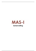 Samenvatting - MAS-I