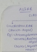 Classification of algae and Life cycle of Chlamydomonas