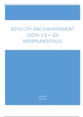 City and Environment (Sota): Samenvatting lessen