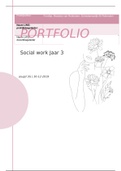 Tussentijdse portfolio Social Work jaar 3 