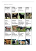 tabellen rassenleer honden etnografie