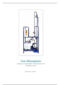 Gas Absorption Lab Report