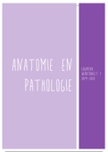 Anatomie en pathologie Samenvatting Thomas more Logopedie en audiologie 2019-2020