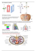 Samenvatting Human Anatomy and Physiology