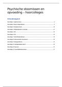 Psychische stoornissen en opvoeding 2019-2020&colon; samenvatting literatuur en hoorcollege aantekeningen