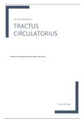 Uitgebreide samenvatting Tractus Circulatorius