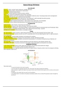 Miramar BIO210A Study Guide with Diagrams/Images