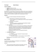 Fysiotherapie leerjaar 1 LWP5-6 ademhaling 1