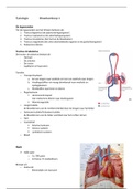 Fysiotherapie leerjaar 1 LWP 5-6 bloedsomloop 1