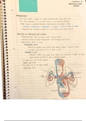 cardiovascular chapter notes