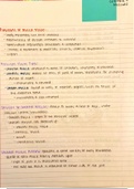 muscle chapter notes