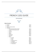 Intro French 1101 Guide