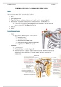 Topographical Anatomy Upper&Lower Limb