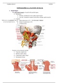 Topographical Anatomy Back&Thorax
