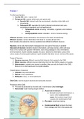 1.4 Biological Psychology: The Human Body Summary in ENGLISH 