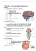 samenvatting leerdoelen Neuro Anatomie en Fysiologie NAF Elise jaar 1