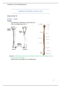 samenvatting: path van onderbeen, enkel, voet (PBA)