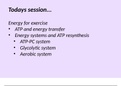 A-Level PE - Energy Systems 