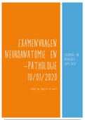 Neuro-anatomie en -pathologie Examenvragen 2020 Thomas more Logopedie en audiologie 2019-2020
