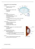(oogheelkunde) Lens en refractiechirurgie 