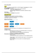 Samenvatting HRM &plus; Belangrijke toetspunten