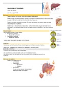 Lever en nieren, anatomie, fysiologie en pathologie B2