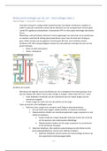 BMW-Moleculaire biologie van de cel (MBoC) hoorcolleges deel 2