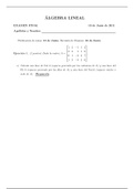 Examen de Álgebra Lineal 1