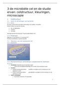 Microbiële cel 