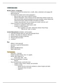 Patterns of World History Vol. 1: Chapter 2 Notes (Textbook+Class)